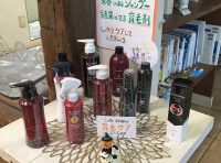 １年で1番抜け毛が多くなる時期です。。。〜東久留米店〜